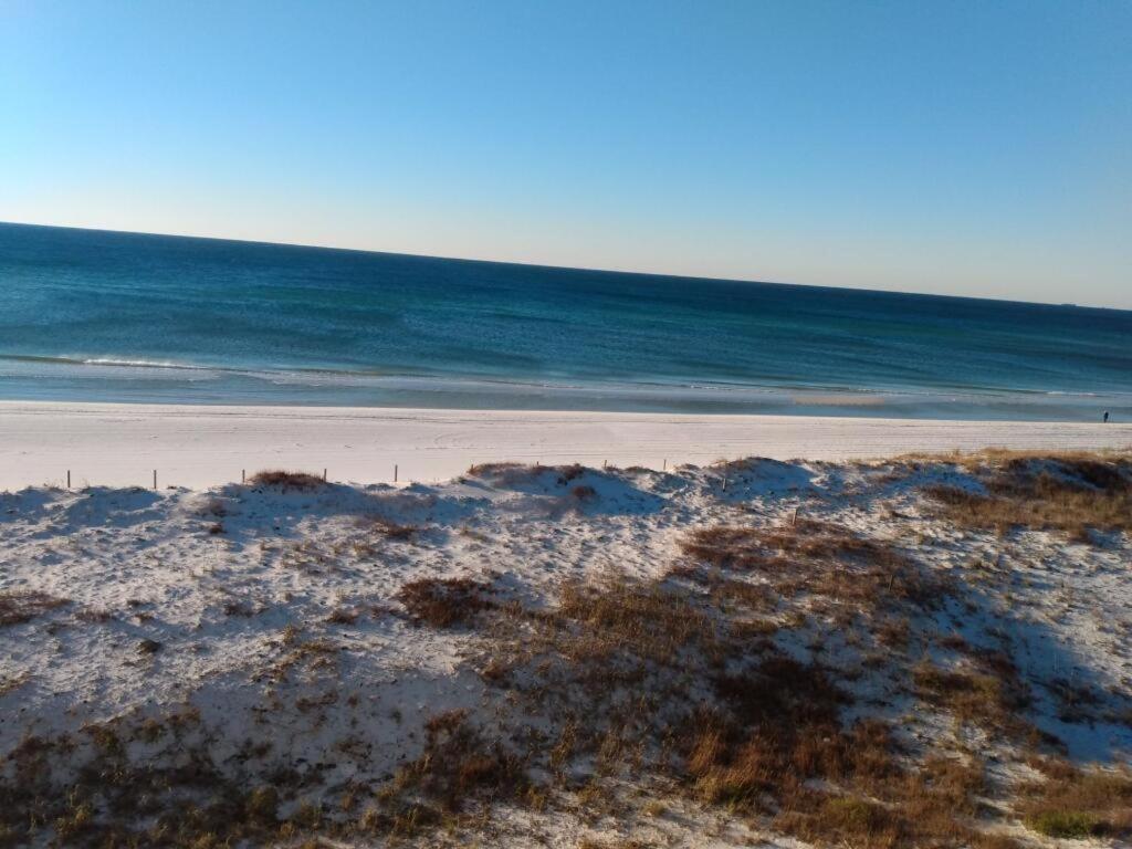 D's Florida/alabama Vacation
